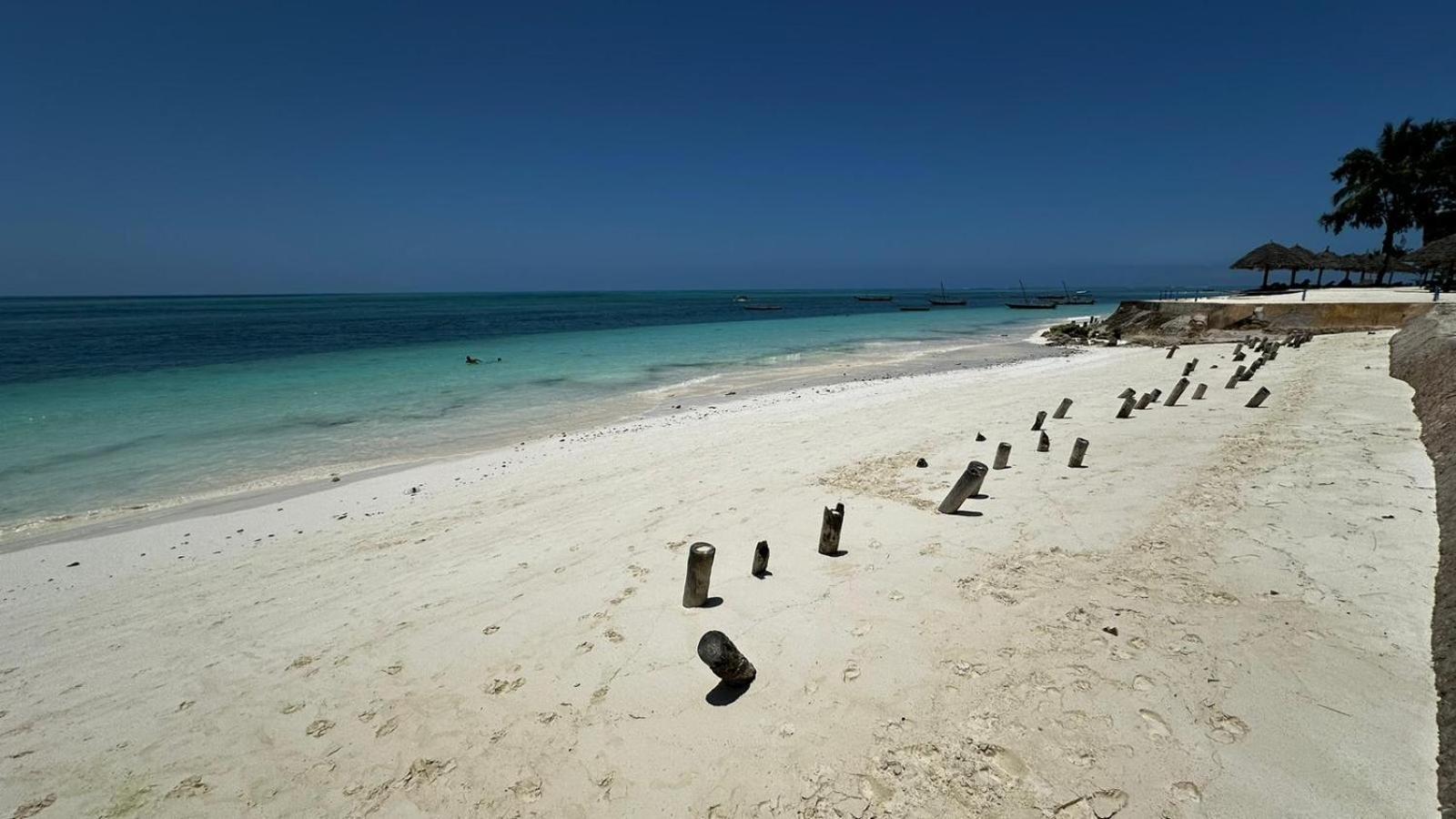 Light Of Zanzibar *